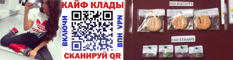 Альфа ПВП Жуков